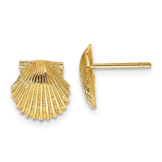 14K Petite Scallop Shell Stud Earrings