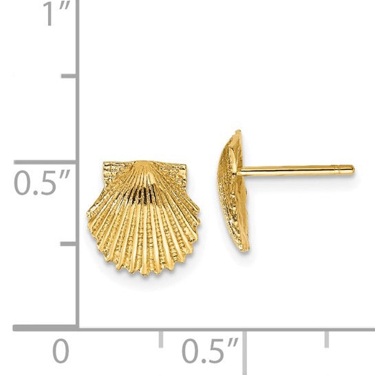 14K Petite Scallop Shell Stud Earrings