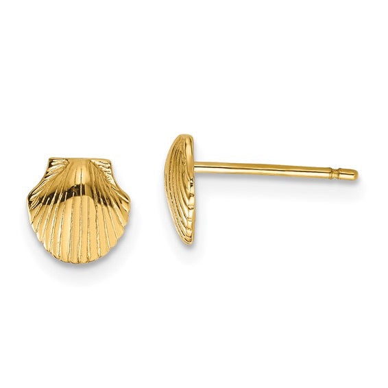 14K Mini Scallop Shell Stud Earrings