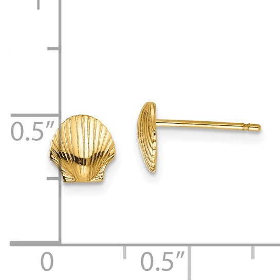 14K Mini Scallop Shell Stud Earrings